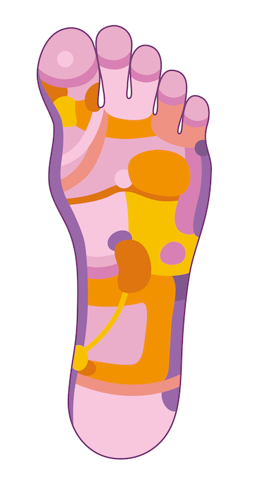 vector-foot-reflexology-illustration-with-different-pink-and-orange-colors